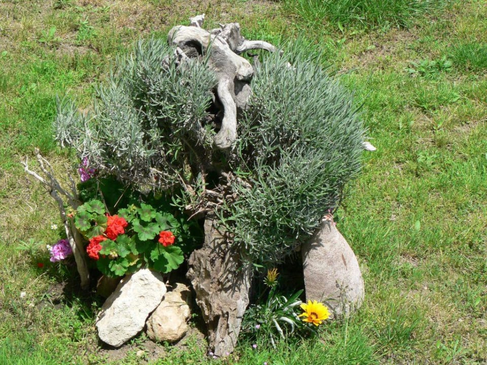 Garten Hotel Apollon