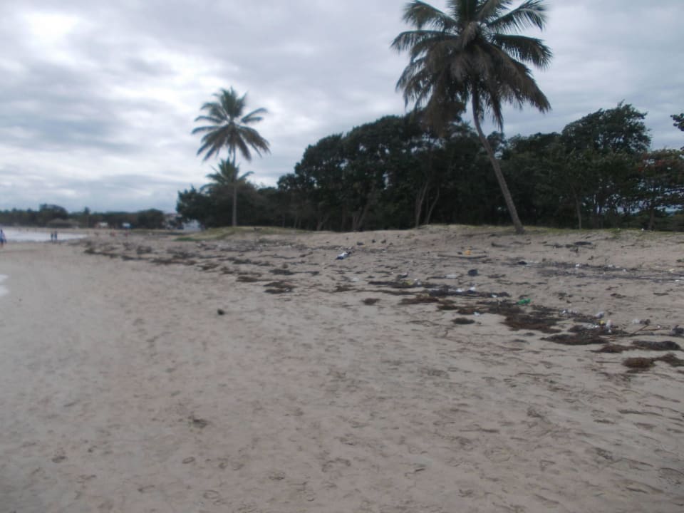 Neben dem Hotel Iberostar Waves Costa Dorada