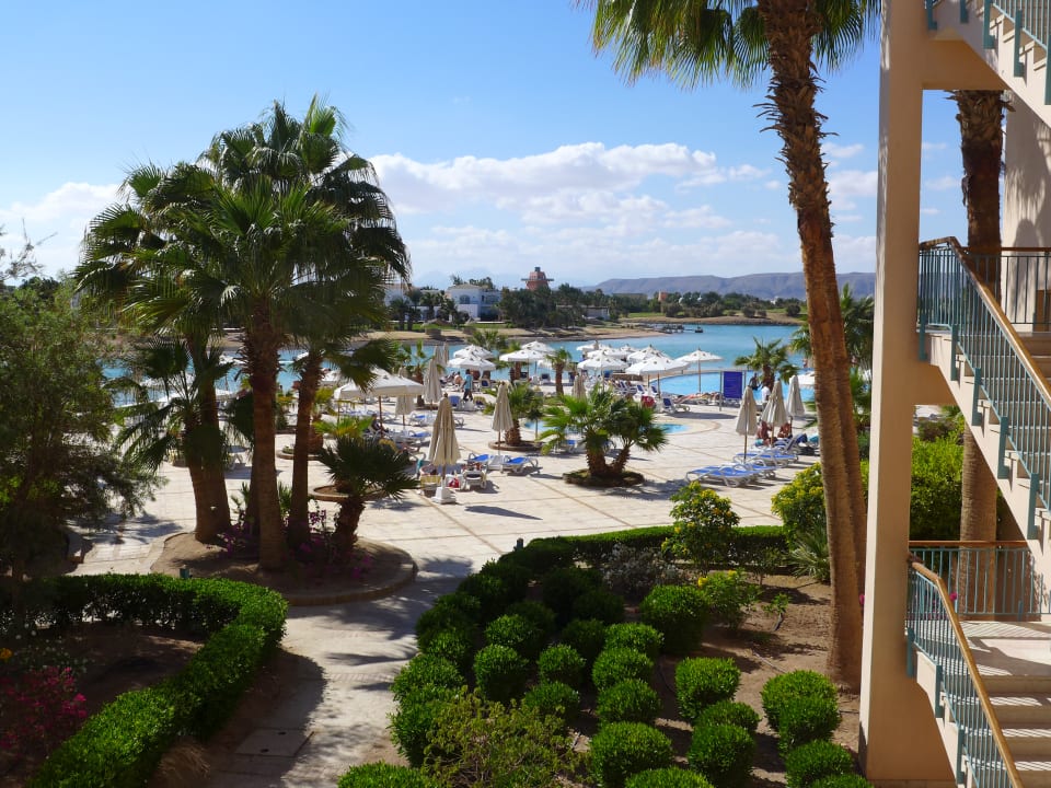 Pool Mövenpick Resort & Spa El Gouna