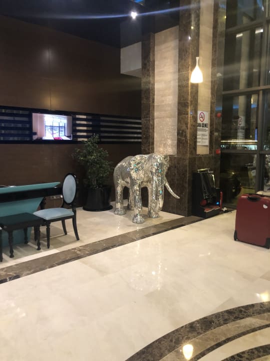 Lobby Luna Blanca Resort & Spa