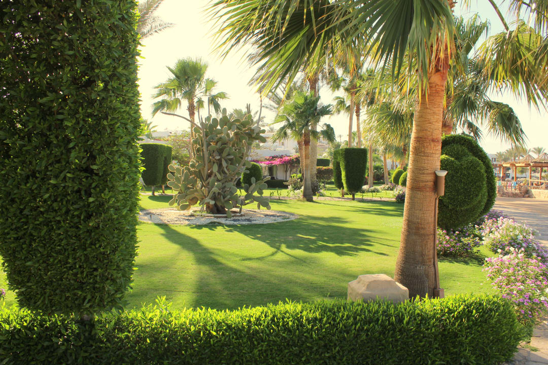 Gartenanlage Sharm Club Beach Resort