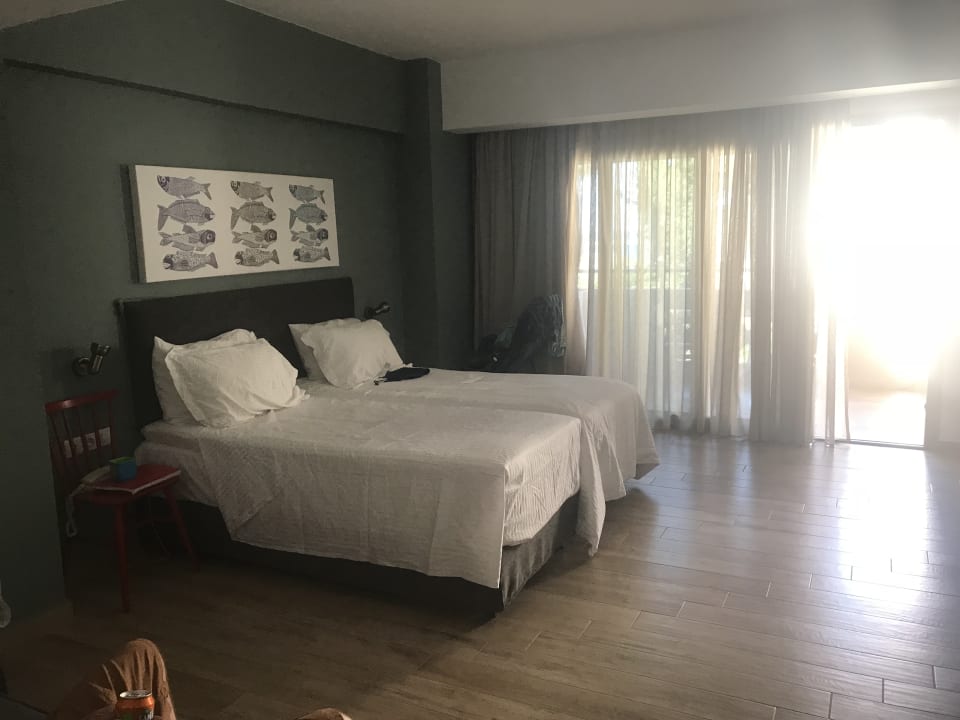 Zimmer Paralos Irini Mare