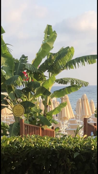 Strand Seaden Quality Resort & Spa