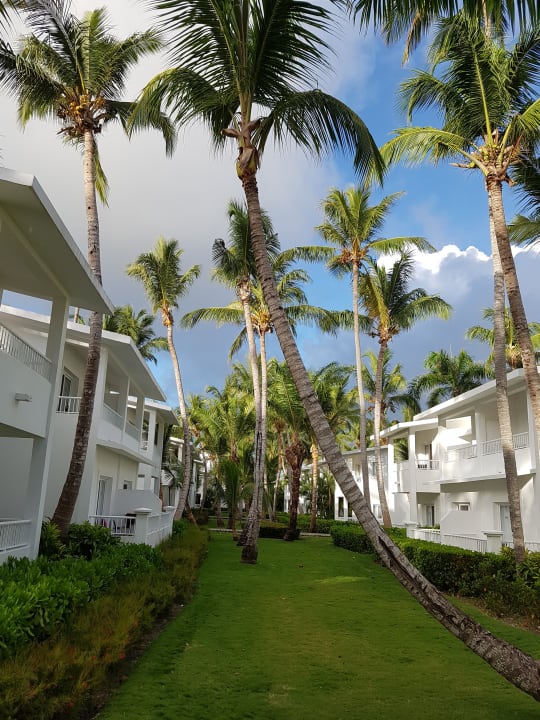 Gartenanlage Hotel Riu Bambu