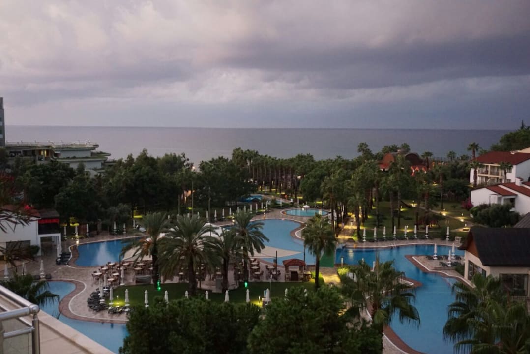 Ausblick Arum Barut Collection