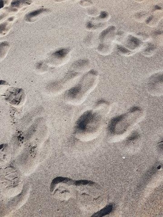 Strand Hotel Delphin Imperial