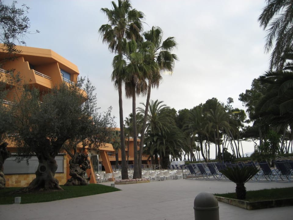 Blick aus dem Restaurant Iberostar Waves Playa de Muro