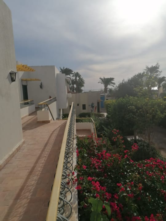 Ausblick Lotus Bay Beach Resort