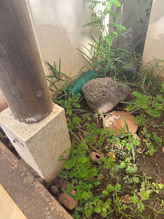 Gartenanlage Lagoon Attitude - Adults only