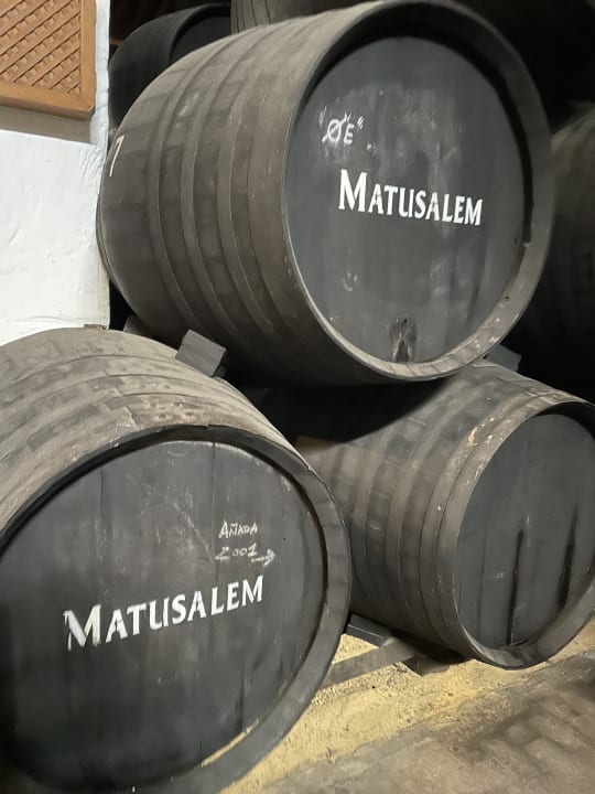 Sonstiges Hotel Bodega Tio Pepe