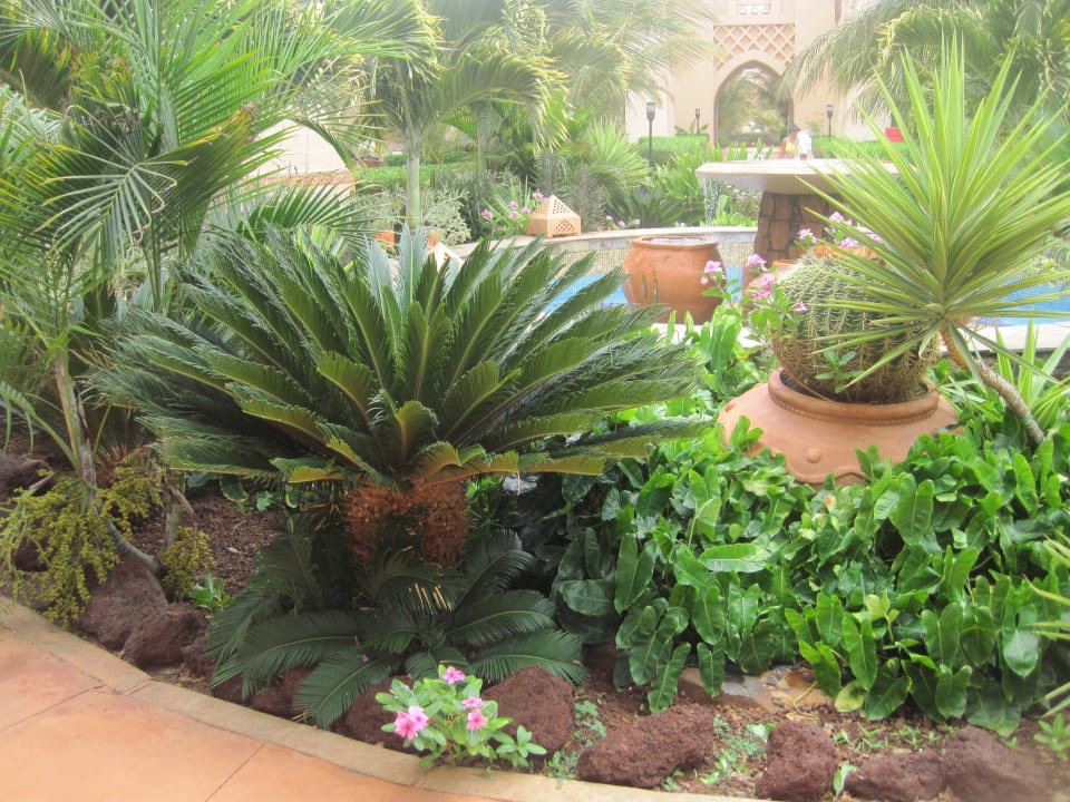 Gartenanlage Hotel Riu Touareg