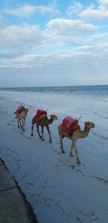 Strand Neptune Village Beach Resort & Spa