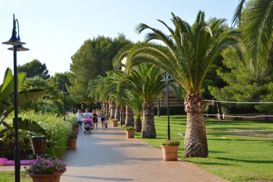Weg zum Resaurant Zafiro Mallorca