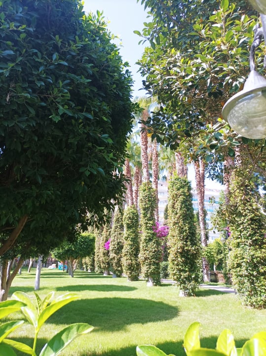 Gartenanlage Hotel Gardenia Beach