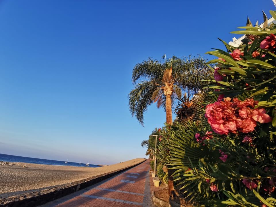 Ausblick Hotel Riu Palace Jandia