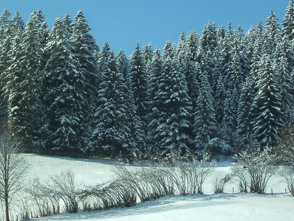 Ausblick Biobauernhof Schranbachhof