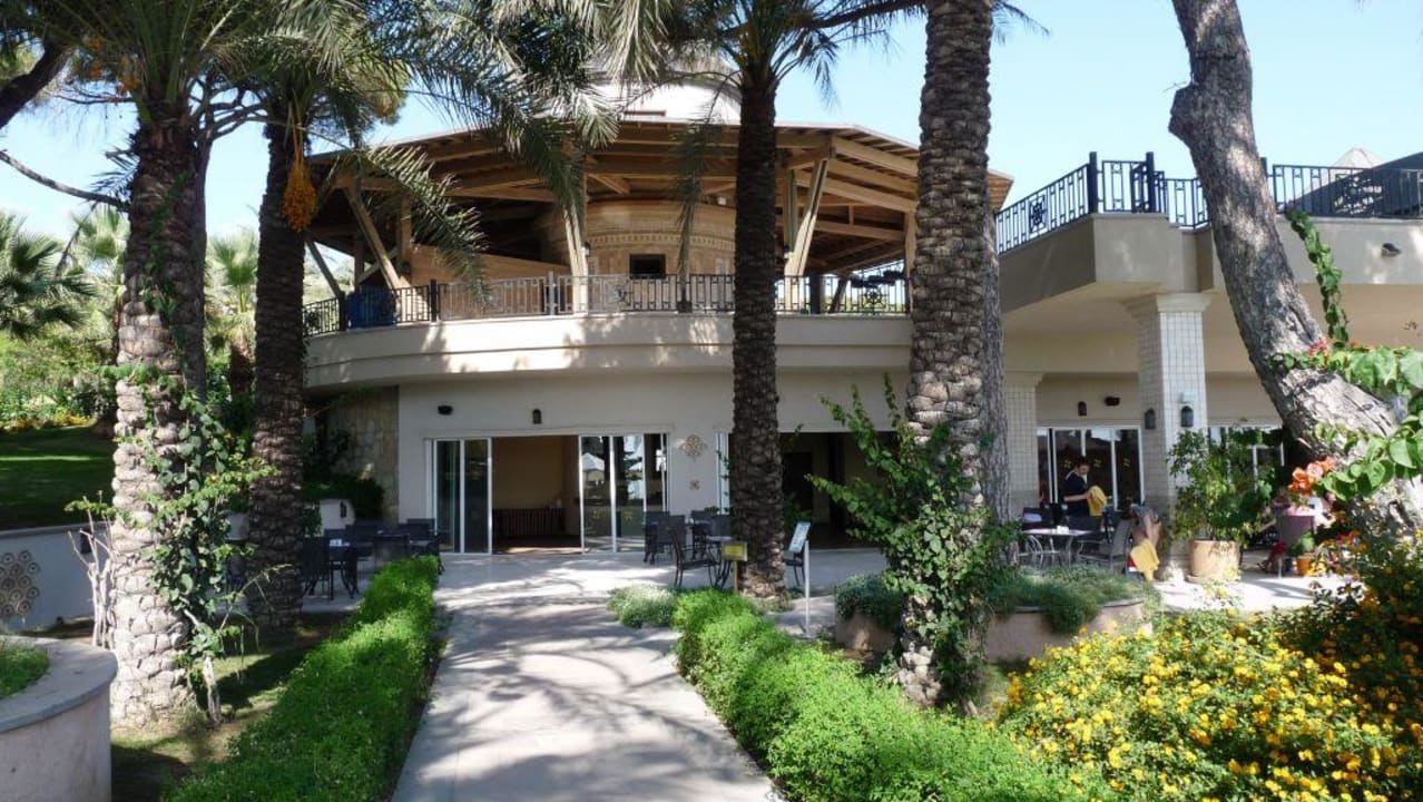 Snackbar Papillon Ayscha