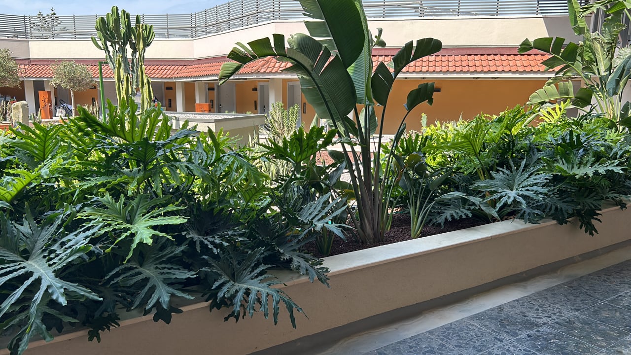 Gartenanlage Arum Barut Collection