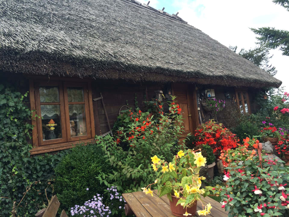 Ausblick BORY TUCHOLSKIE - Chata Pod Strzechą