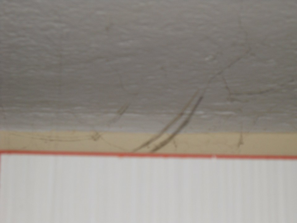 Spinnenwebben in de keuken Apartments Bache