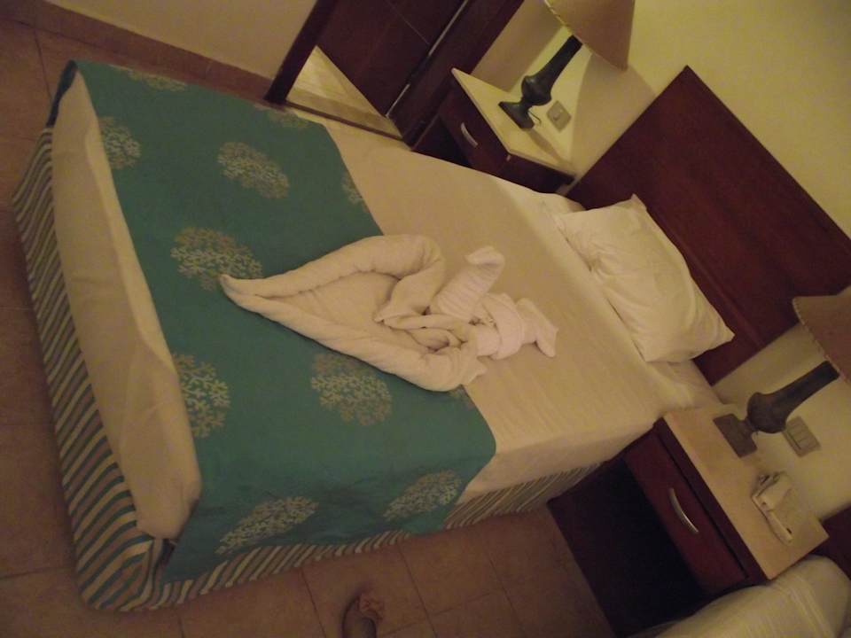 Dekoracja Amphoras Blu