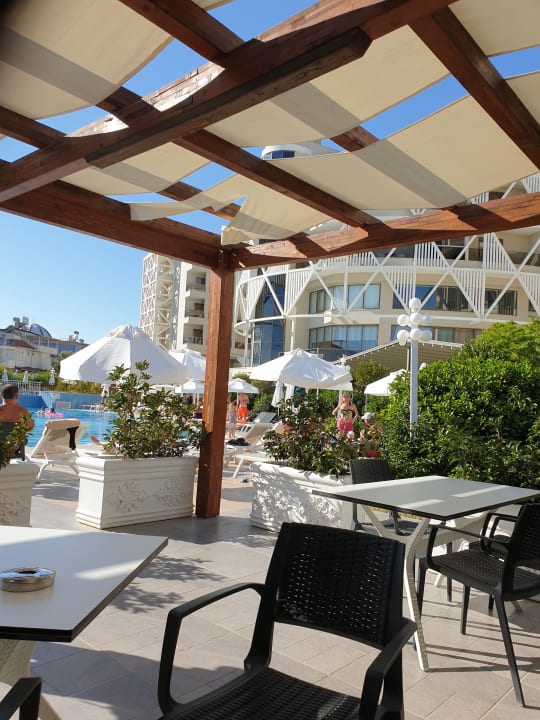 Gastro Seashell Vega