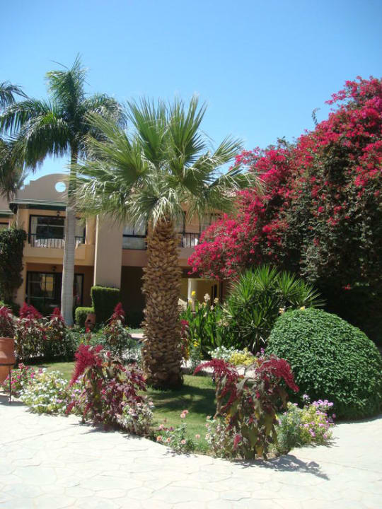 Вид отеля с тропинки, ведущей к пляжу Ali Baba Hotel