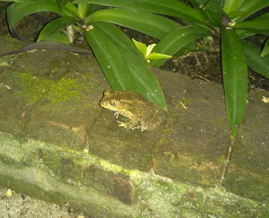 Sonstiges Thai House Beach Resort