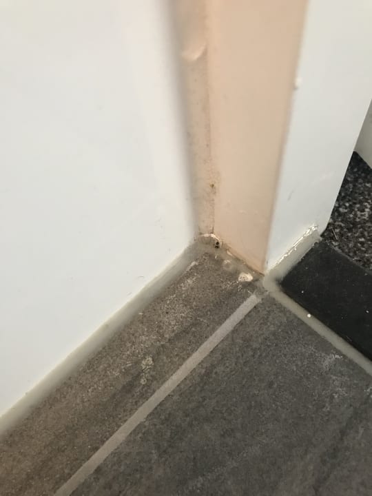 Zimmer Landal Beach Resort Ooghduyne