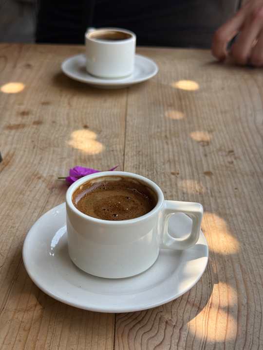 Gastro Kamelya Aishen Club