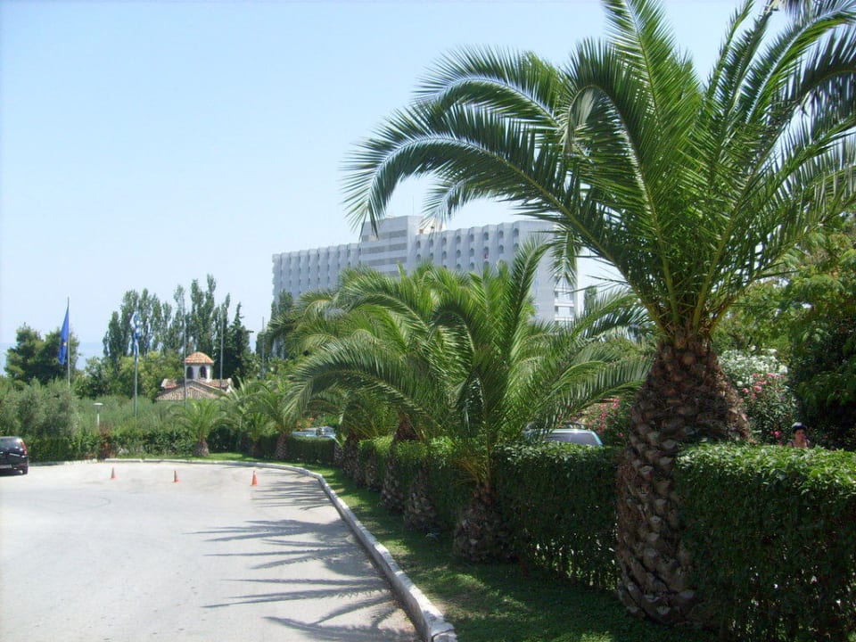 Hotel Pallini Beach Pallini Beach Hotel