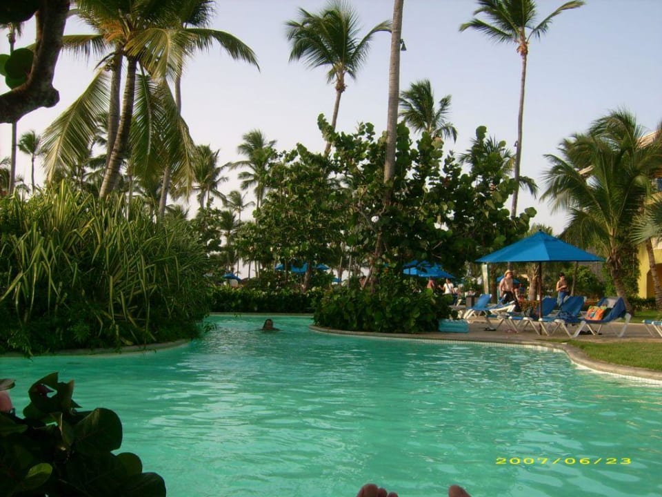Pool Royalton Splash Punta Cana