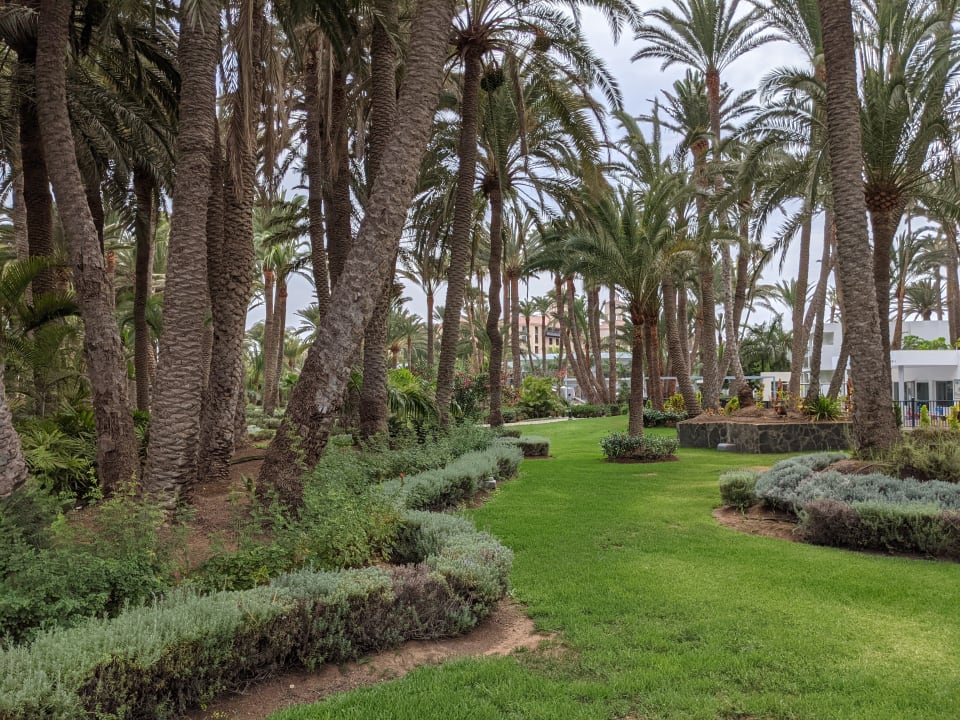 Gartenanlage Hotel Riu Palace Oasis