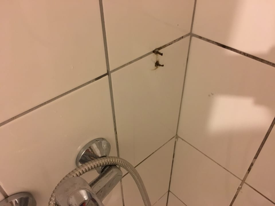 Zimmer Oz Hotels Incekum Beach