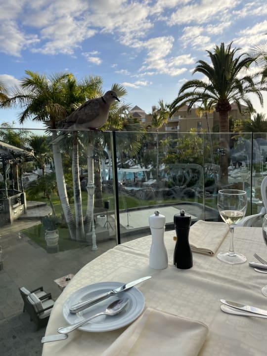 Gastro Adrián Hoteles Jardines de Nivaria