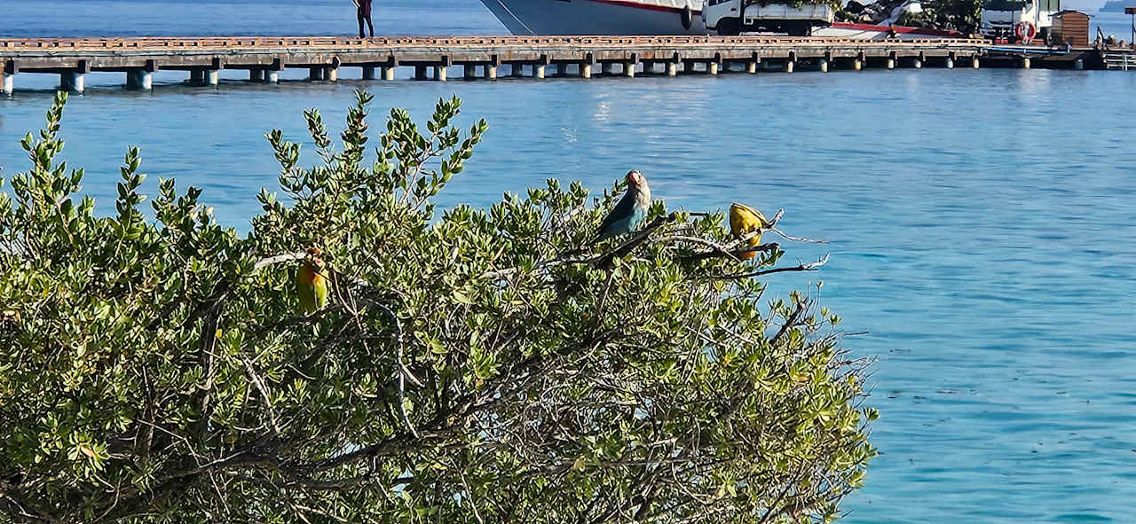 Ausblick Adaaran Select Meedhupparu Island Resort - Premium All Inclusive