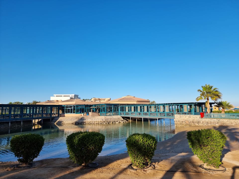 Gastro Club Paradisio El Gouna, Red Sea
