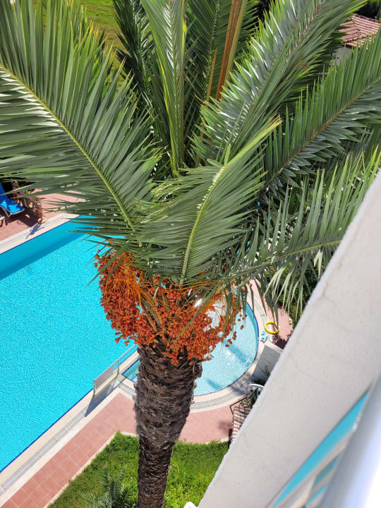 Ausblick Carna Garden Hotel