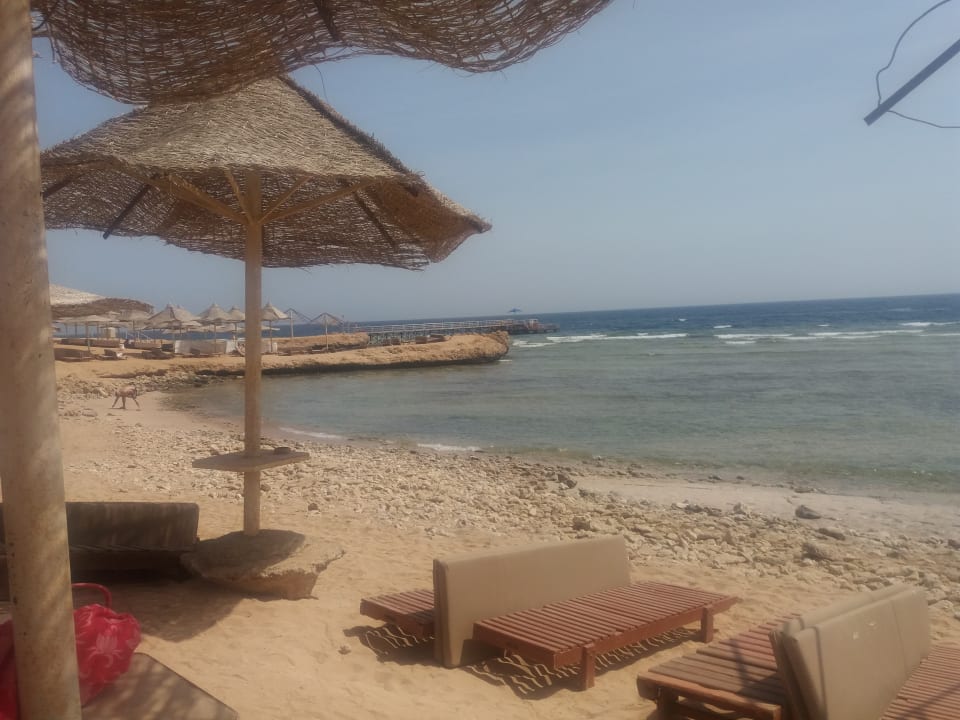 Strand Serenity Alpha Beach