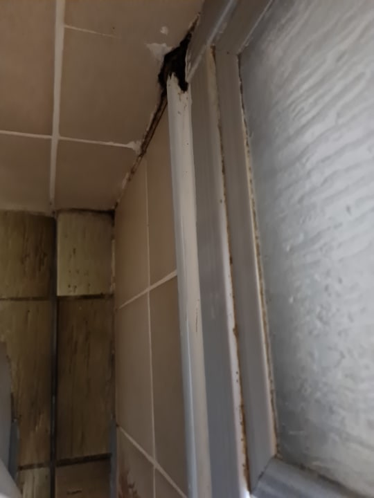 Zimmer Sonnenmatte-Titisee B+B Hotel Guesthouse