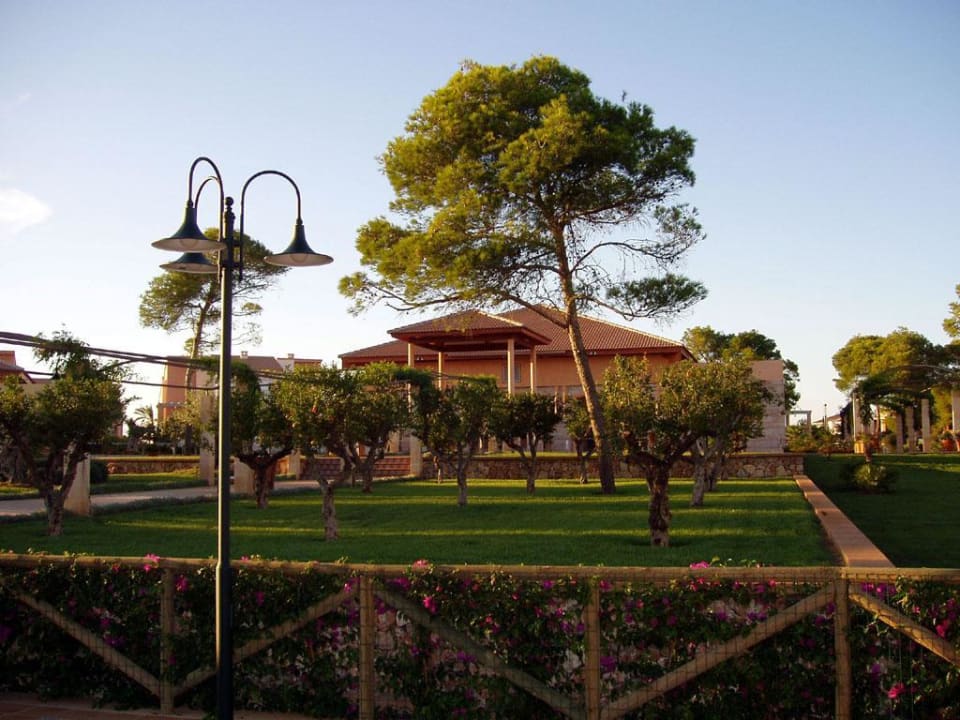 Viva Mallorca Empfangsgebäude Außenansicht Zafiro Mallorca