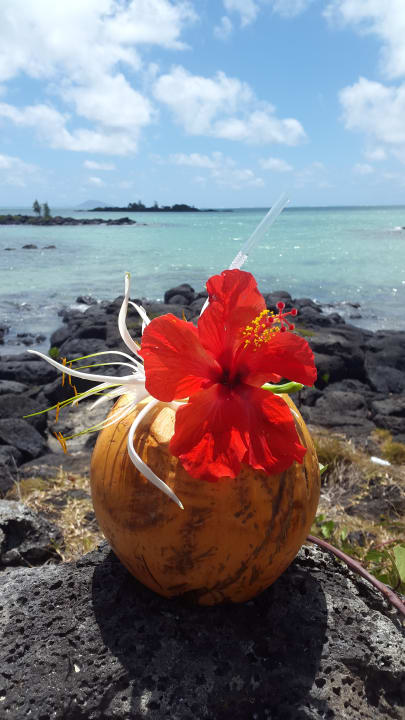 Gastro Lagoon Attitude - Adults only