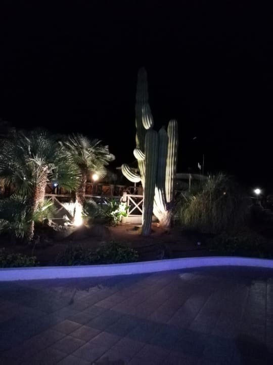 Gartenanlage Hotel HL Club Playa Blanca