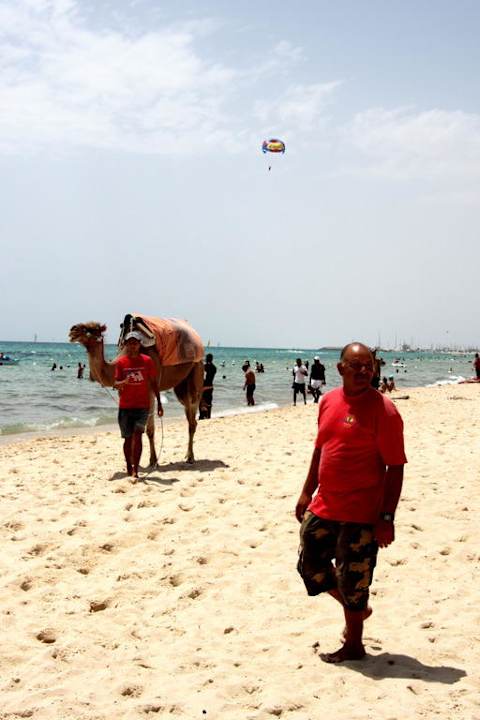 Camel, personnel de plage et sable chaud Hotel Paradis Palace