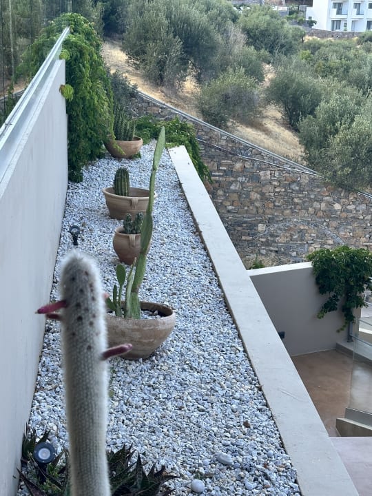 Gartenanlage Meliti - Adults only
