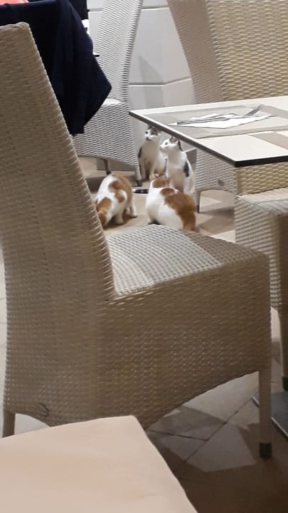 Sonstiges Olympian Bay Grand Resort