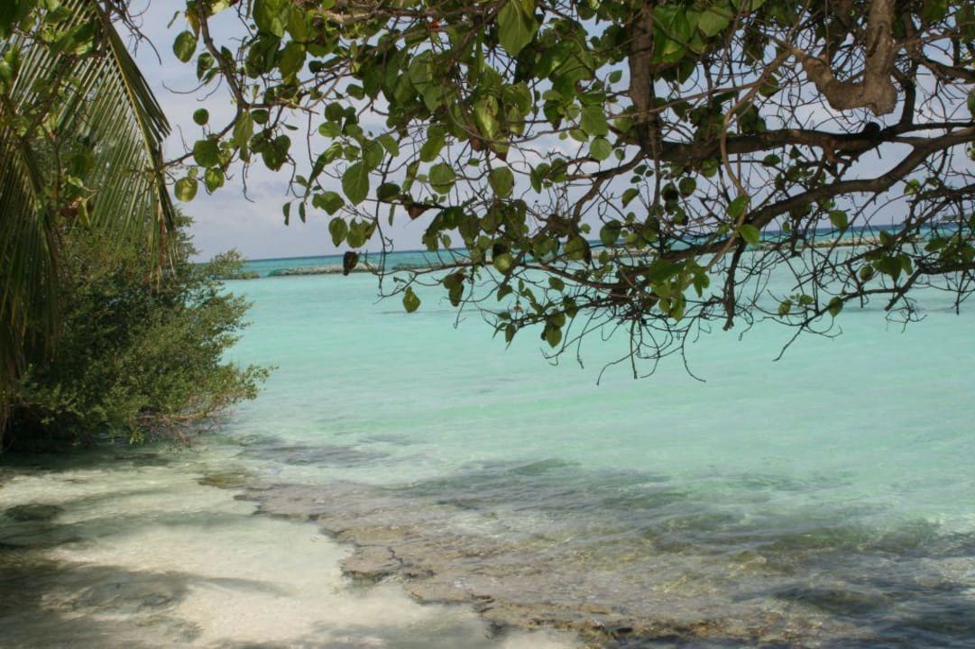 Strand Summer Island Maldives