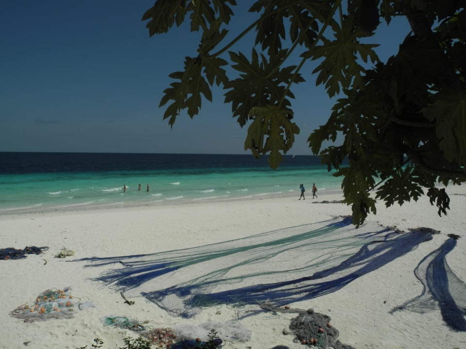 Royal Beach Front Royal Zanzibar Beach Resort