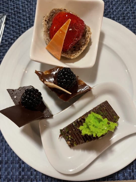 Gastro Acanthus Cennet Barut Collection