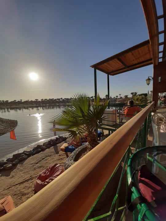 Ausblick Desert Rose